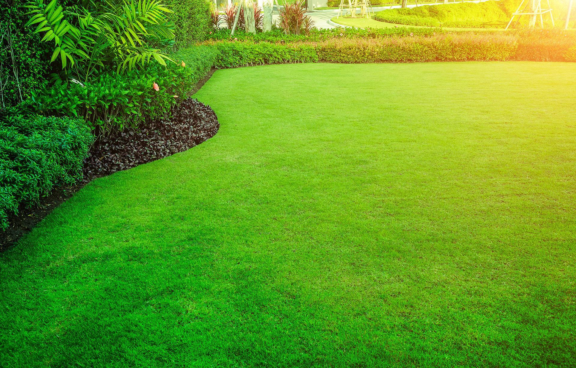lawn care